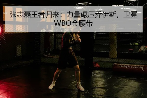张志磊王者归来：力量碾压乔伊斯，卫冕WBO金腰带